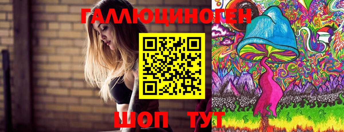 Ессентуки  Галлюциногенные грибы Psilocybine cubensis  Вход с VPN 