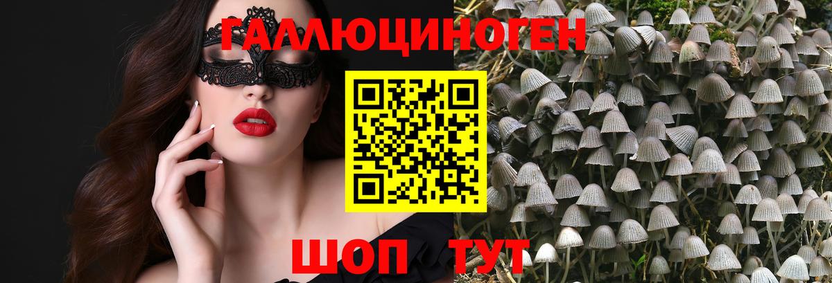 Псилоцибиновые грибы MAGIC MUSHROOMS Ессентуки